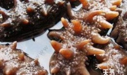 烟台海参爆料事件视频最新,揭露行业潜规则，视频曝光惊人内幕